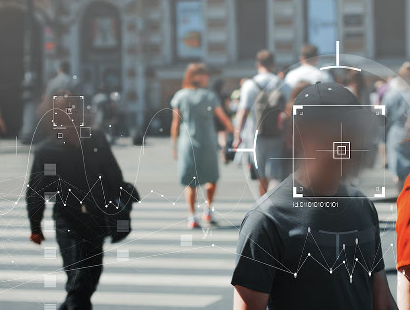 CameraDataCollection